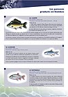 Les poissons produits en Dombes
